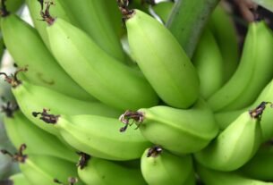 Alimentos Ricos em Fibras