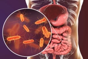 Microbiota Intestinal