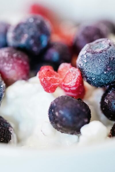 O Que São Prebióticos